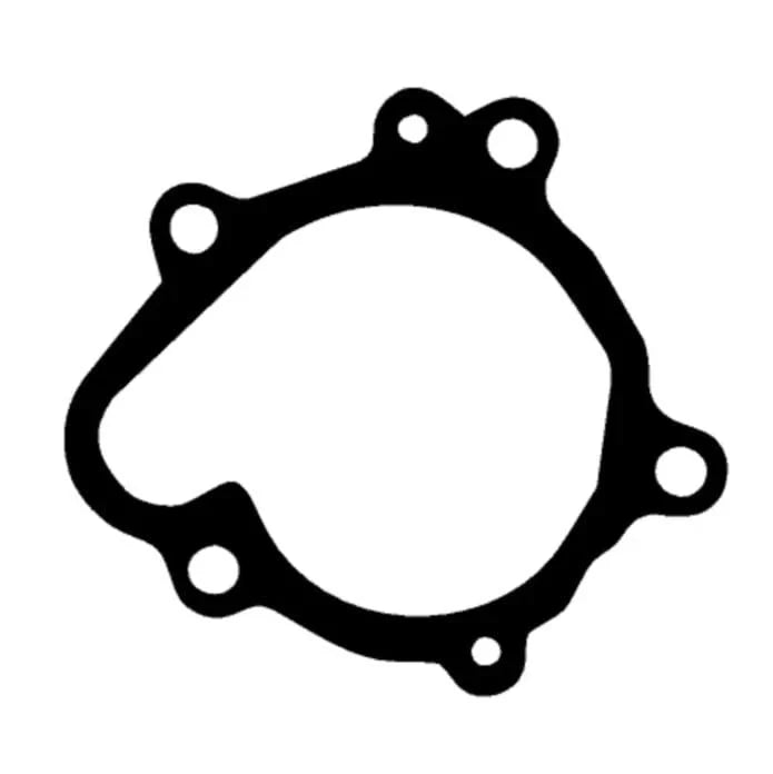 Kawasaki Ninja 300 EX300 Versys-X 300 KLE300 ER300 Waterpump / Gasket / Waterpump Gasket