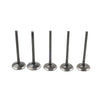 Yamaha WR450F YZ450F YFZ450 YFZ450R / X / V Intake Exhaust Valve Kit (2003-2023)
