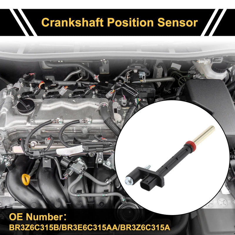 Ford F-150 5.0 Crankshaft Position Sensor (2011-2017)