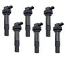 BMW K1600GT Ignition Coils W/Module 6x (2010–2017)