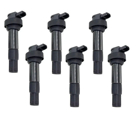 BMW K1600GT Ignition Coils W/Module 6x (2010–2017)