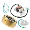 Yamaha Blaster 200 Flywheel Rotor & Stator Magneto (1990–2002)