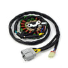 Honda Sportrax 450 TRX450R Stator 2x4 (2004–2005)