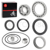 Yamaha Wolverine / Kodiak 450 Rear Differential Bearing Seal (2003-2018)