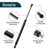 Nissan Murano Z50 Hood & Hatch Lift Supports (2003-2007)