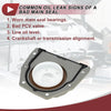 Ford Escape Fiesta Fusion Crankshaft Oil Seal (2001-2023)