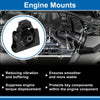 Toyota Rav4 2.5L Engine Mount (2009-2012)