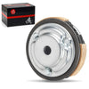 HONDA Recon 250 Centrifugal Carrier Wet Clutch (2002–2023)