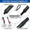 Lexus NX200t NX300h Rear Tailgate Power Lift Support (2015-2017)