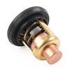 Yamaha 2-Stroke Outboard Engine Thermostat (No Year Specified)