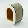 Kawasaki Z750R ZR1000 Z1000 ZR750 Z750S Z800 Air Filter Element (2007-2016)