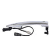 Nissan Maxima, Sentra, Murano, Leaf Front Left & Right Door Handles