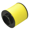 Honda Recon 250 TRX250EX TRX250X Sportrax Air Filter