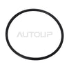 BMW E60 E61 Left Fuel Filter (2004–2010)