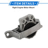 Ford Focus Engine Motor Mount (2003-2014)