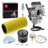 Yamaha Rhino Carburetor Assembly (2006–2009)