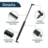 Lexus LS430 Hood Lift Supports Struts (2001-2006)