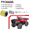 Honda Pioneer 500 Oil Filter & Air Cleaner Spring (2015-2023)