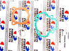 Honda QR50 1. FORSETI Top End Kit 1.00mm O/S 41mm Piston Rings Gasket (82-03)