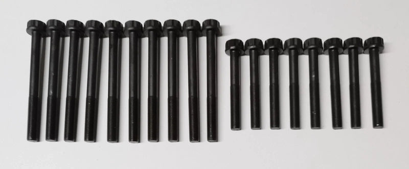 Kia Sedona / Carnival & Hyundai Terracan 2 x Head Gasket Set & Bolts (2002–2006)