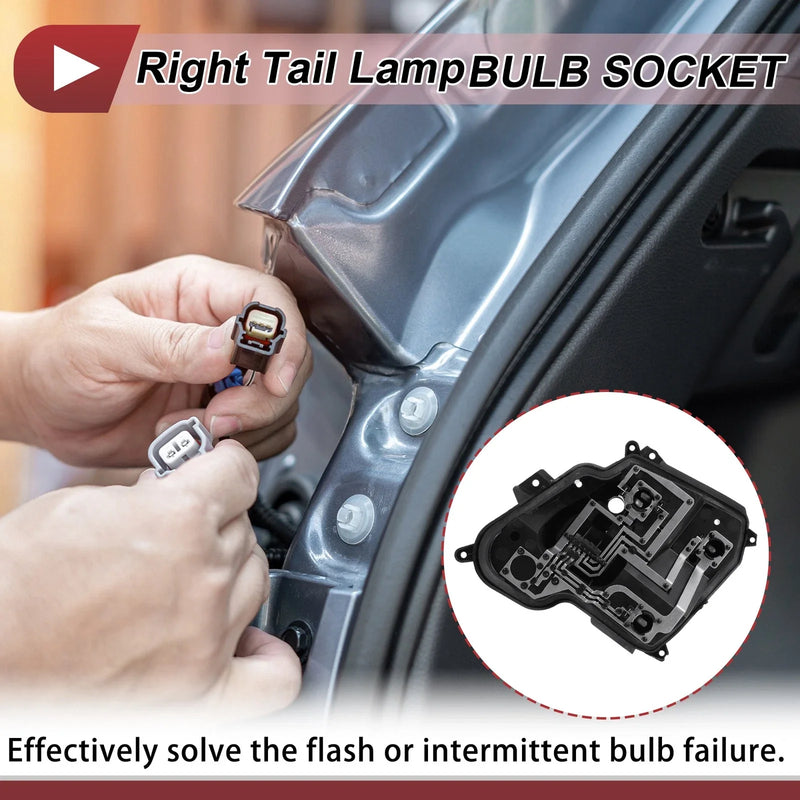 Peugeot 301 Right Tail Light Socket (2014-2016)