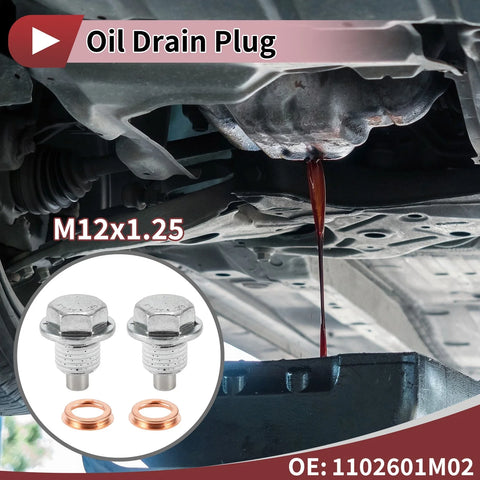 Nissan Infiniti (1102601M02) 79 characters max Oil Drain Plug Set