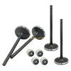 Polaris Predator 500 / Outlaw 500 Head Intake Exhaust Valves Seals (2003–2007)