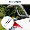 Dodge Challenger Rear Trunk Rear Hatch Lift Supports Struts