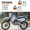 Honda Big Red 250 ATC250ES / ATC250SX / ATC350X w / Spring & O-Ring Oil Filter