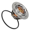 Kawasaki Ninja Vulcan Thermostat with O-Ring