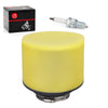 Honda TR200 Fatcat 200 Air Filter with Spark Plug (1986-1987)