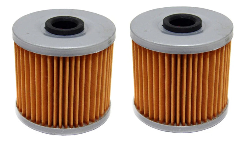 Kawasaki Bayou 220, 250 & 300, Lakota 300 & Mojave 250 2 x Oil Filters