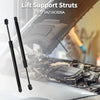 Ford Crown Victoria Hood Lift Supports Struts (1992-2011)