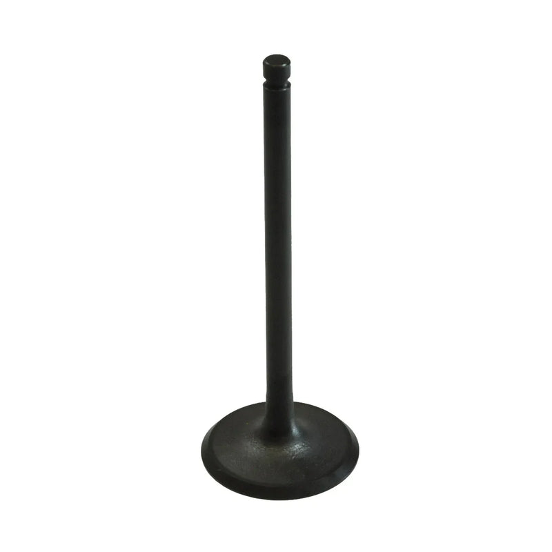 Polaris Many 325 330 ATV Engine Intake Valve