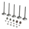 Yamaha YFZ 450, WR 450F, YZ 450F Exhaust & Intake Valves (2003-2009)