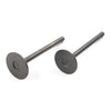 EZGO Gas 4-Stroke 295cc Intake & Exhaust Valve Set (1996-Up)
