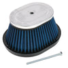 Yamaha Raptor 250 Air Filter (2008–2013)