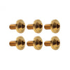 Bike Motorcycle 6 x Gold Titanium M5x25mm Torx Head Bolts