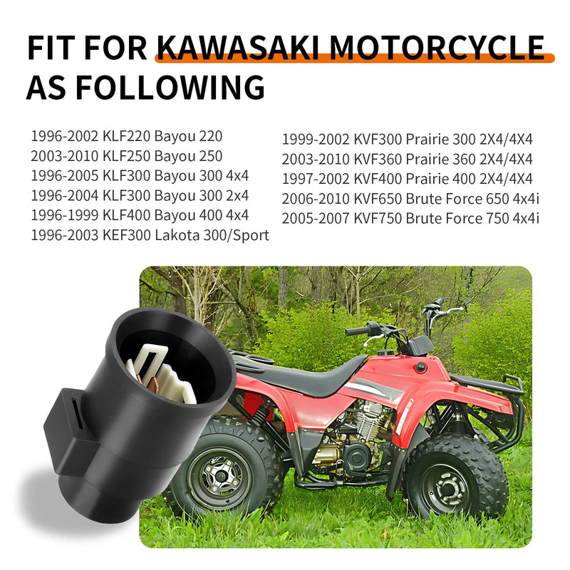 Kawasaki Bayou Relay (2000–2008)