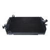 YAMAHA XVZ1300 Royal Star Radiator Oil Cooler (1999-2013)
