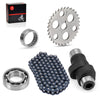 Yamaha Warrior 350 YFM350X 1989-2004 Camshaft Assembly w/ Bearings Chain Kit