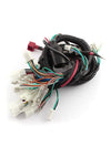 GS Main Wiring Harness