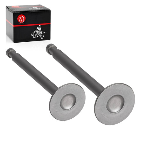 Club Car 341cc Gas Golf Cart 2 x Exhaust Intake Valve (1984–1991)