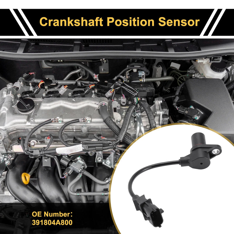 KIA K2500 2.5 CRDi Crankshaft Position Sensor (2010)