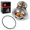 Honda Super Hawk 1000 VTR1000F VTR 1000 F Thermostat w/ O-Ring (1998–2005)
