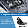 Toyota COROLLA Hood Latch Assembly 1 Pc (2019–2024)