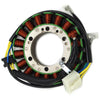 Kawasaki ZX-9R Ninja ZX900 Magneto Generator Stator Coil (1998-2003)