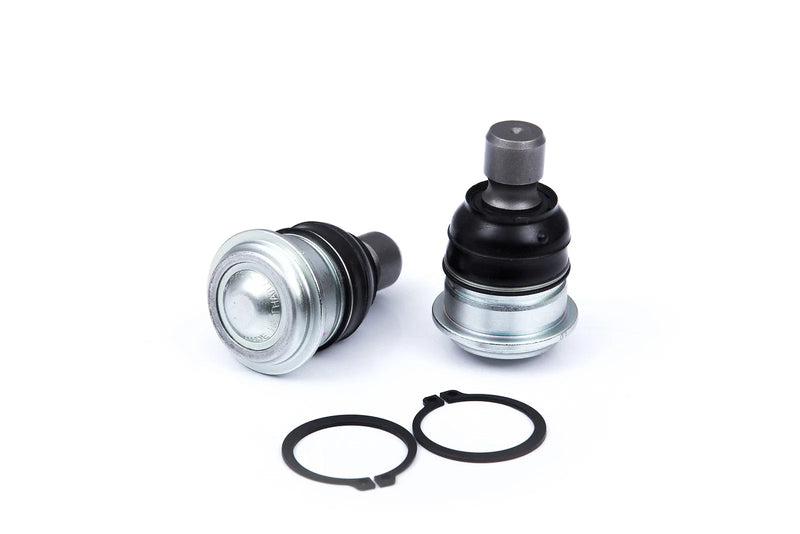 Nissan Teana J31 Lower Ball Joint (2003-2008)
