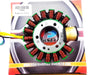 Yamaha YFB250 Timberwolf 94-00 Stator Magneto Generator Assembly