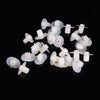 Honda Civic Accord CR-V Prelude 25 x Bumper Grommet Nut Clips (1996-2023)